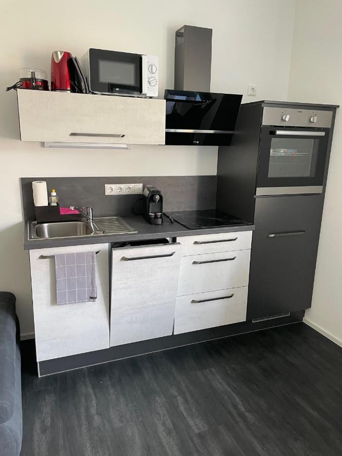 Saaldorf-ferienhaus Mit 6 45qm-120qm Direkt Am Thueringer Meer-bleilochtalsperre Appartement Bad Lobenstein