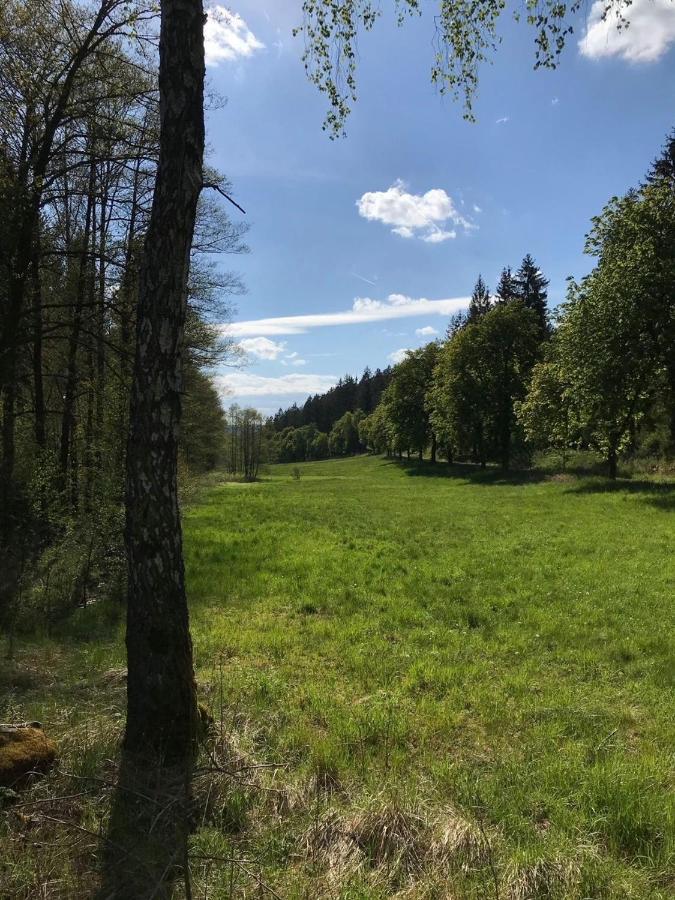 Saaldorf-ferienhaus Mit 6 45qm-120qm Direkt Am Thueringer Meer-bleilochtalsperre