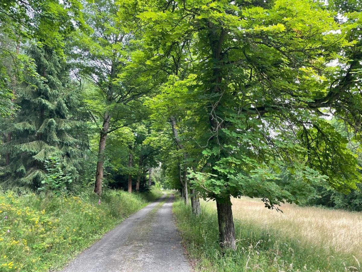 Saaldorf-ferienhaus Mit 6 45qm-120qm Direkt Am Thueringer Meer-bleilochtalsperre Appartement Bad Lobenstein